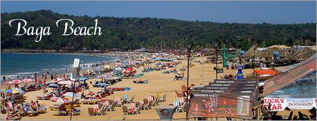 baga beach goa