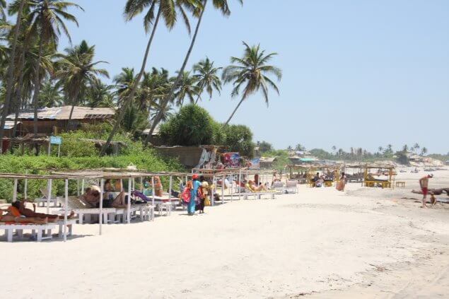 morjim beach goa