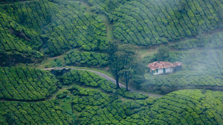 munnar sightseeing