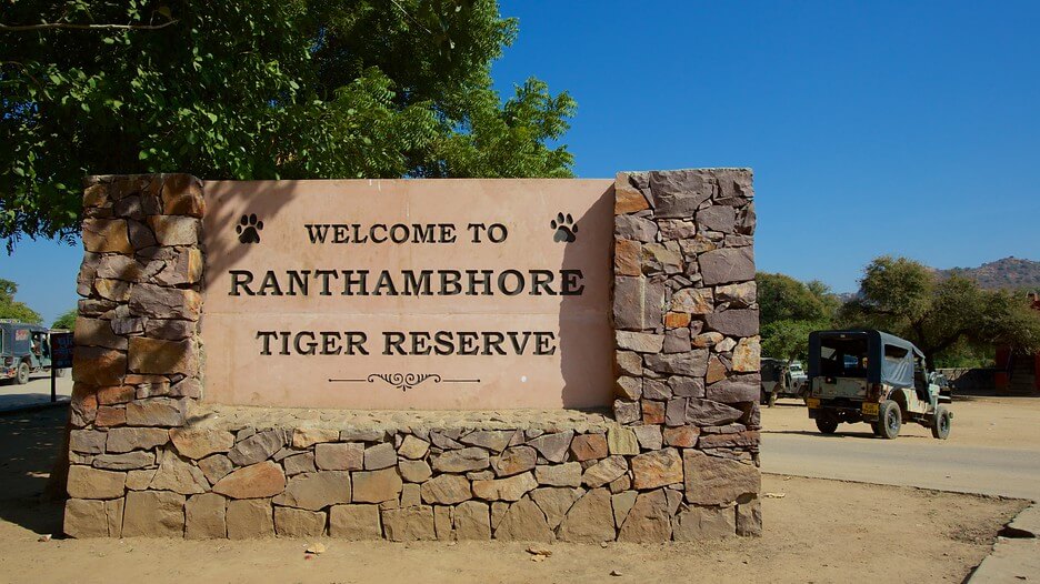 Ranthambore National Park tour
