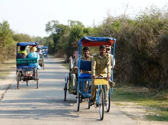 keoladeo national park cycle rikshaw