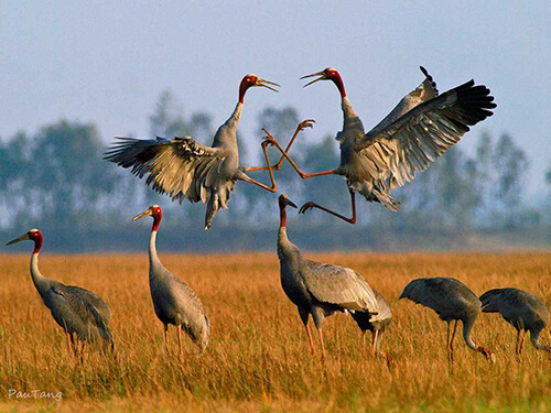 keloadev national park