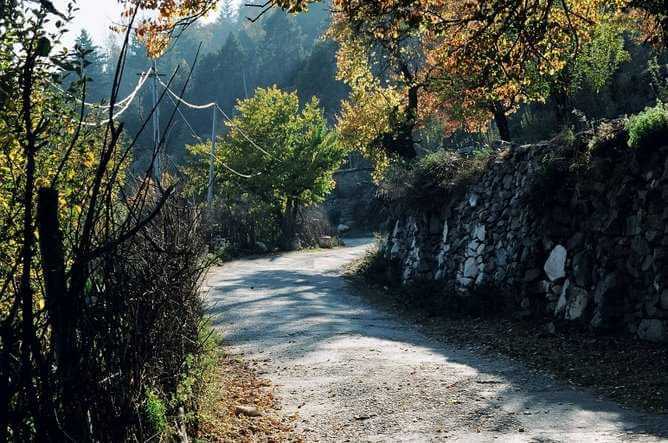 Manali Sanctuary Himachal Pradesh